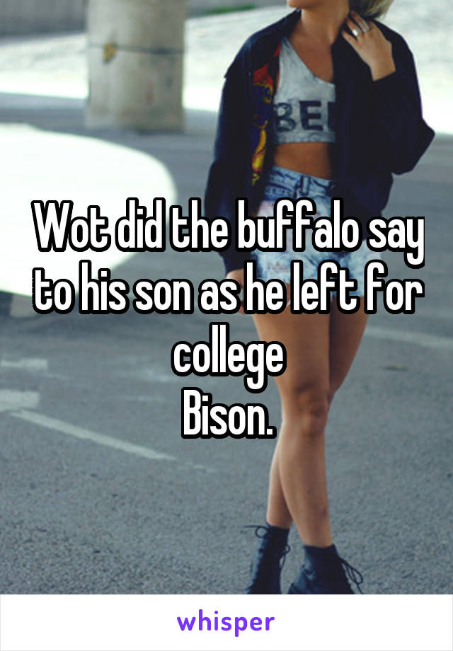 Wot did the buffalo say to his son as he left for college
Bison.