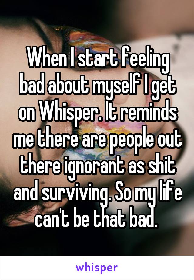 When I start feeling bad about myself I get on Whisper. It reminds me there are people out there ignorant as shit and surviving. So my life can't be that bad. 