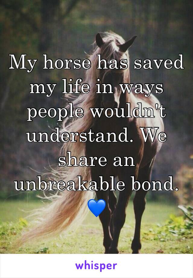 My horse has saved my life in ways people wouldn't understand. We share an unbreakable bond. 💙