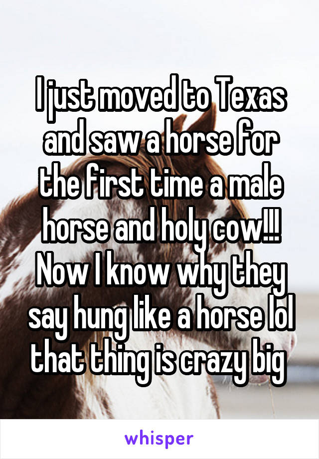 I just moved to Texas and saw a horse for the first time a male horse and holy cow!!! Now I know why they say hung like a horse lol that thing is crazy big 