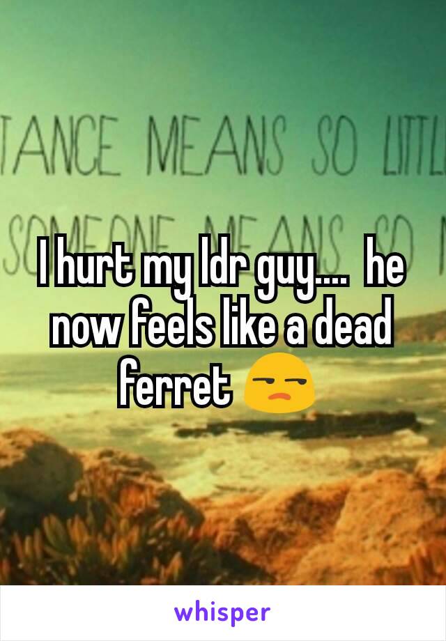 I hurt my ldr guy....  he now feels like a dead ferret 😒 