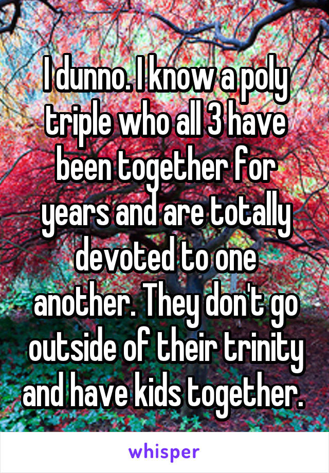 I dunno. I know a poly triple who all 3 have been together for years and are totally devoted to one another. They don't go outside of their trinity and have kids together. 