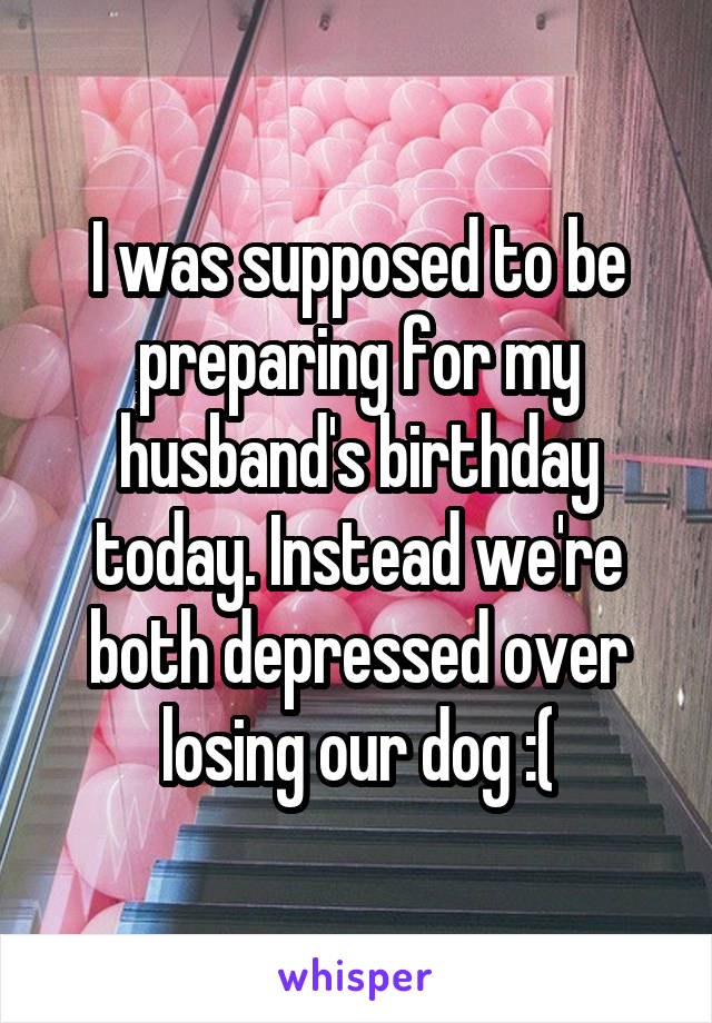 I was supposed to be preparing for my husband's birthday today. Instead we're both depressed over losing our dog :(