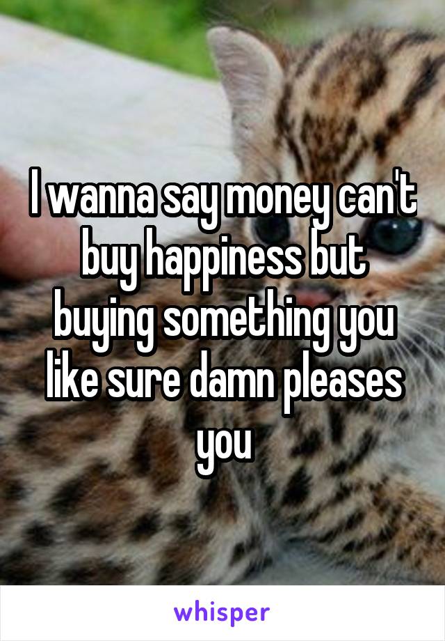 I wanna say money can't buy happiness but buying something you like sure damn pleases you