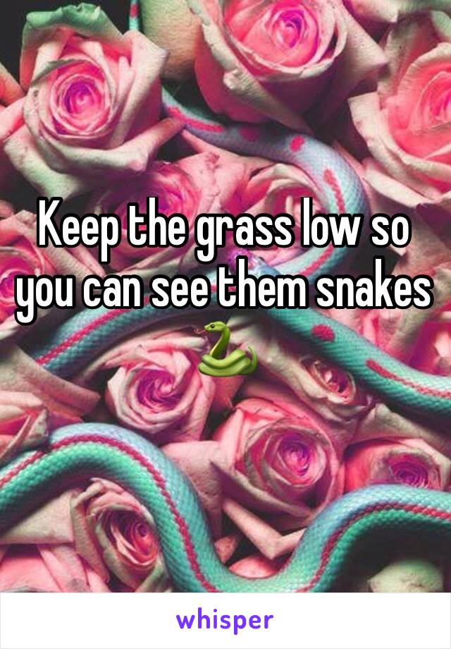 Keep the grass low so you can see them snakes 🐍 
