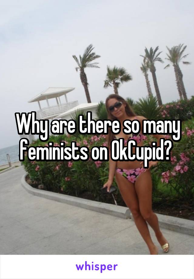 Why are there so many feminists on OkCupid? 