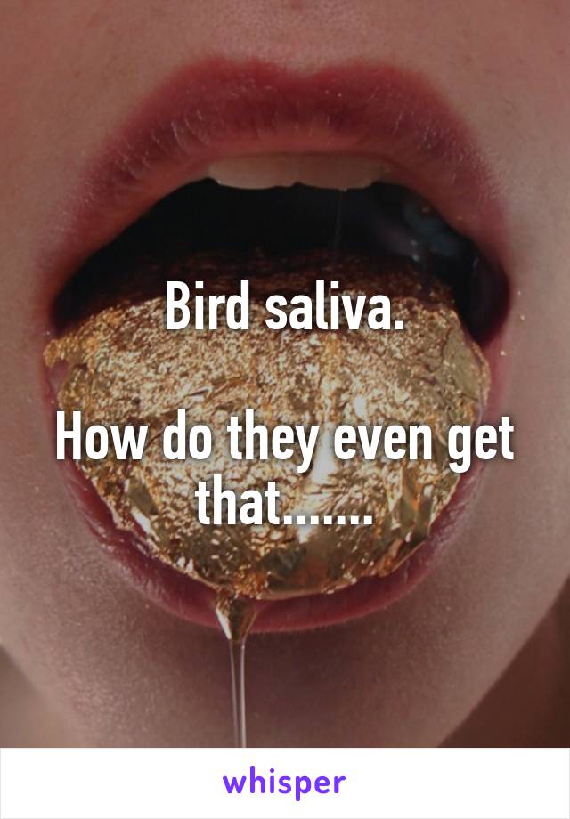 Bird saliva.

How do they even get that.......