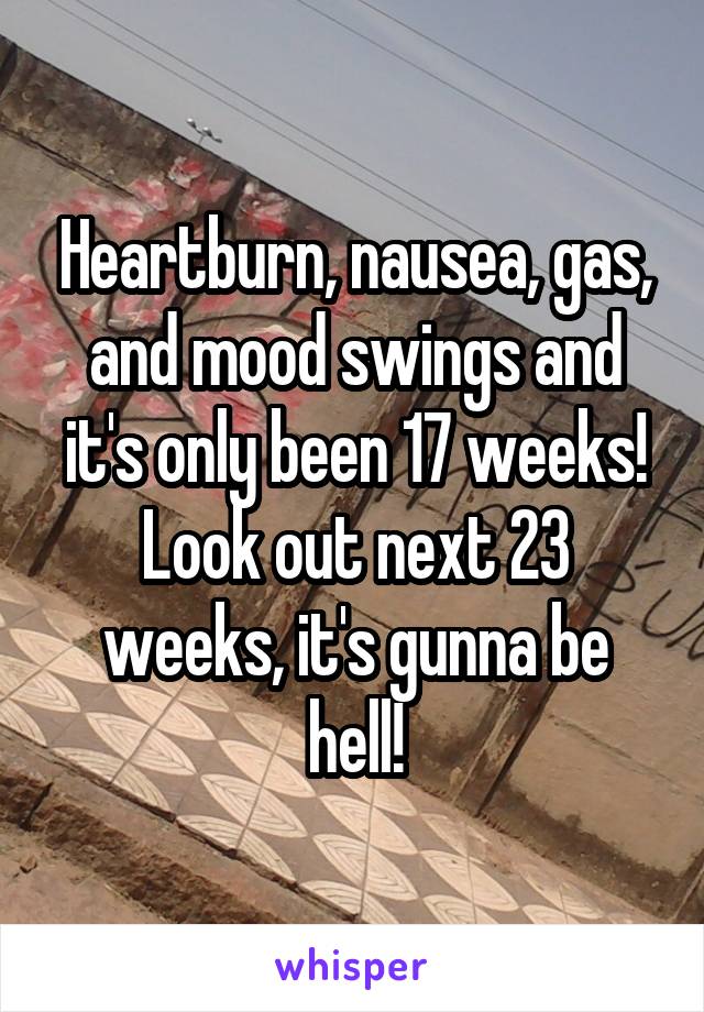 Heartburn, nausea, gas, and mood swings and it's only been 17 weeks! Look out next 23 weeks, it's gunna be hell!