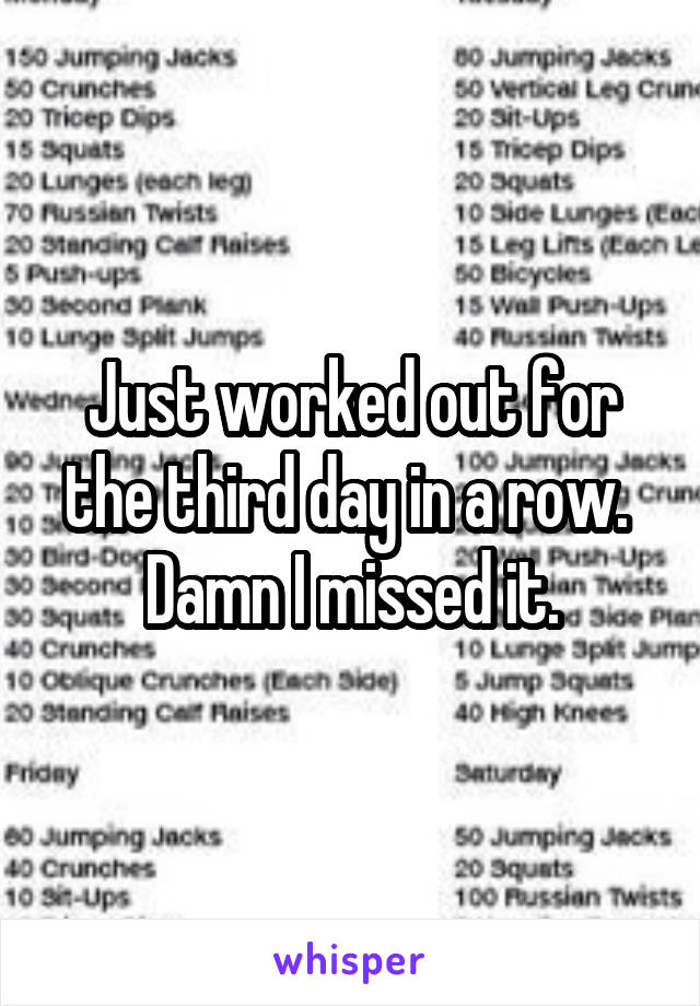 Just worked out for the third day in a row.  Damn I missed it.