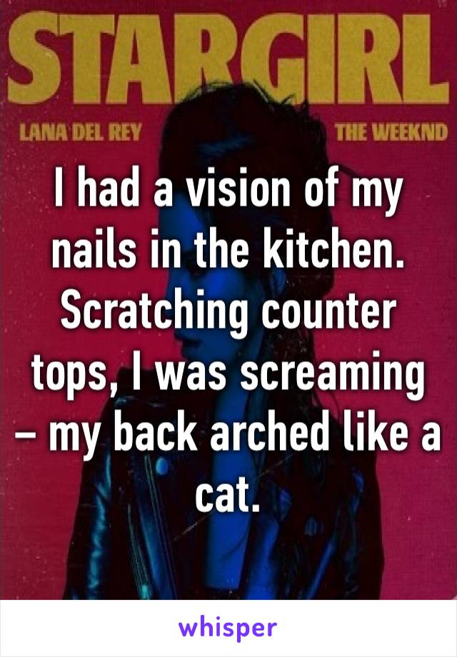 I had a vision of my nails in the kitchen. Scratching counter tops, I was screaming – my back arched like a cat.