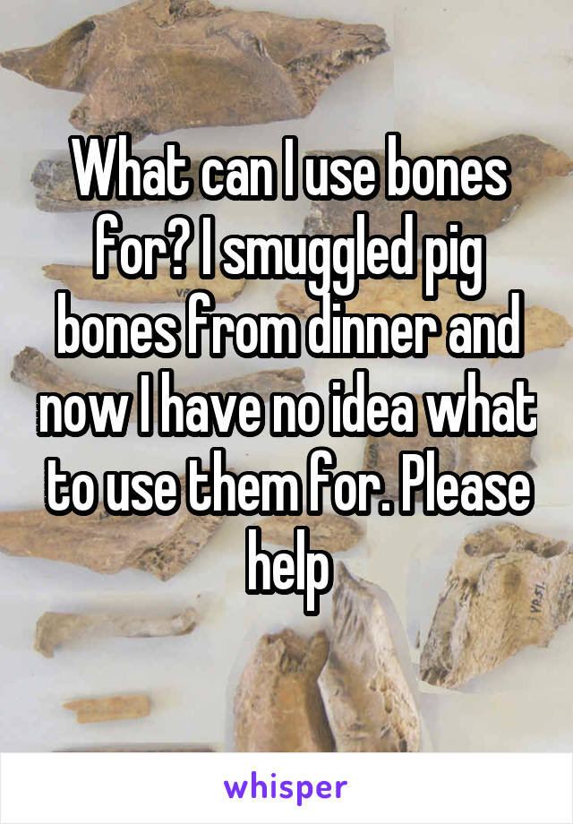 What can I use bones for? I smuggled pig bones from dinner and now I have no idea what to use them for. Please help
