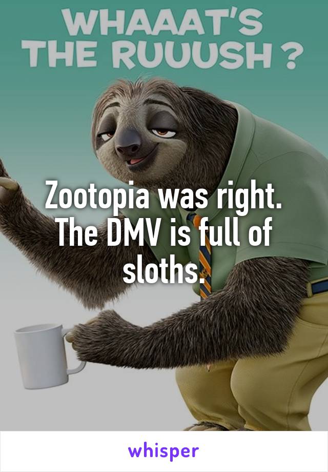 Zootopia was right. The DMV is full of sloths.