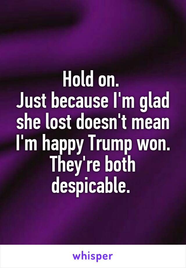 Hold on. 
Just because I'm glad she lost doesn't mean I'm happy Trump won.
They're both despicable. 