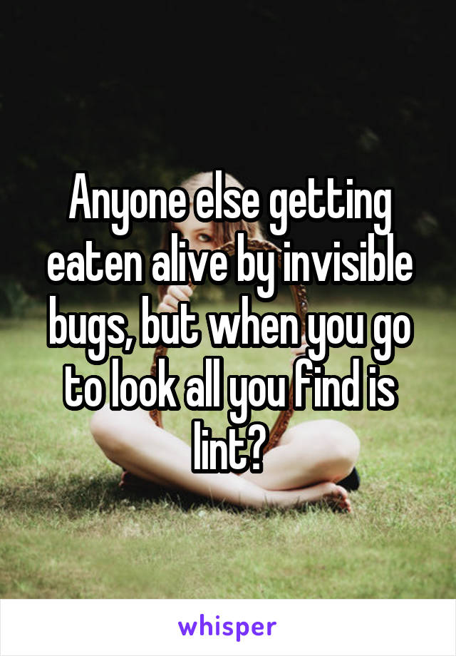 Anyone else getting eaten alive by invisible bugs, but when you go to look all you find is lint?