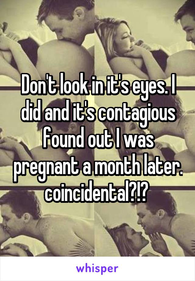 Don't look in it's eyes. I did and it's contagious found out I was pregnant a month later. coincidental?!? 