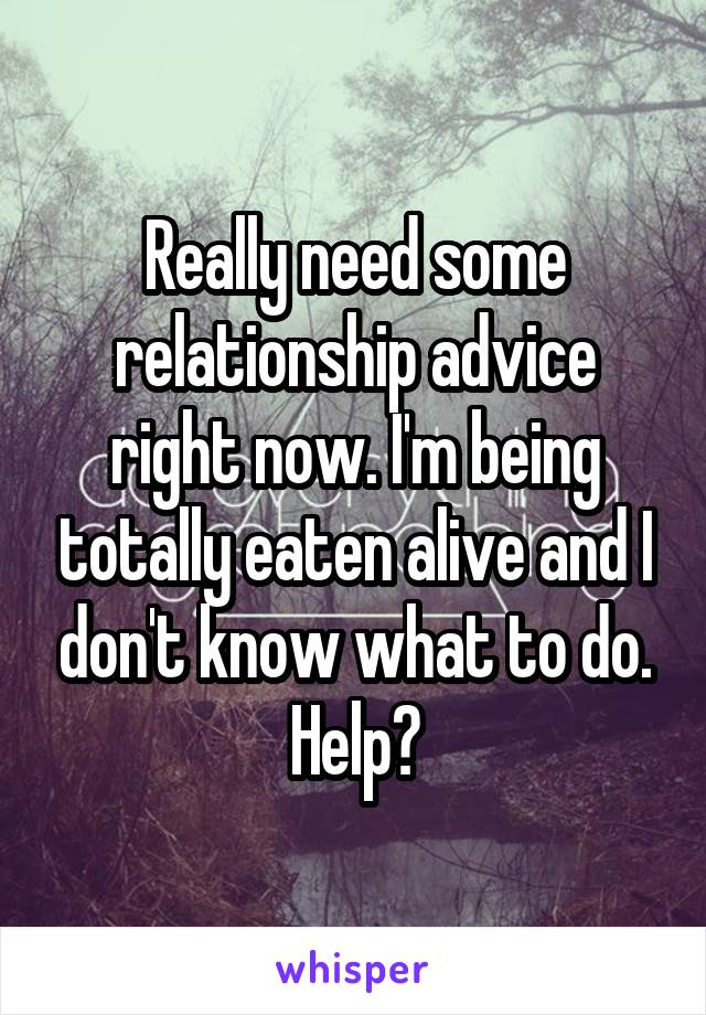 Really need some relationship advice right now. I'm being totally eaten alive and I don't know what to do. Help?