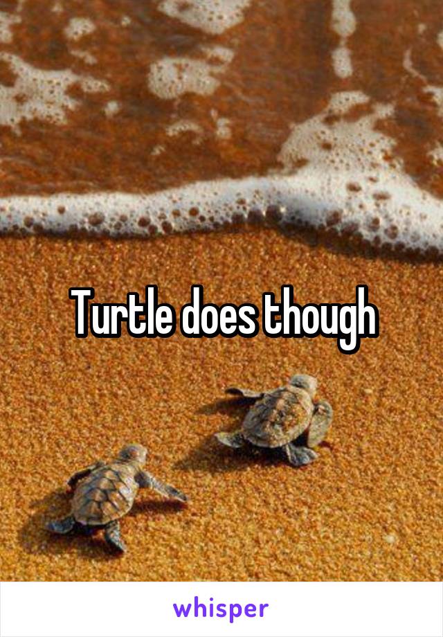 Turtle does though