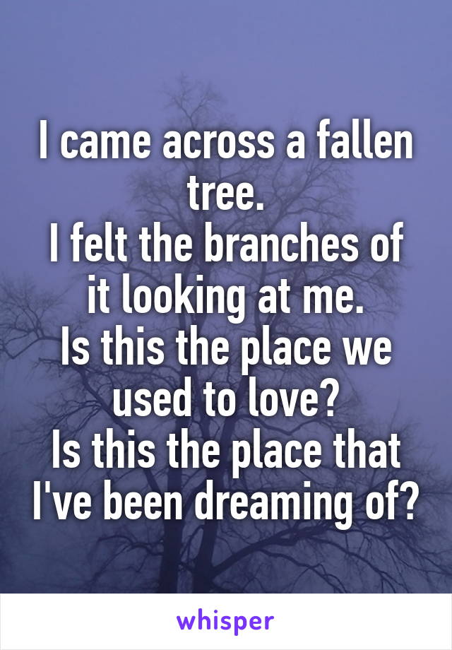 I came across a fallen tree.
I felt the branches of it looking at me.
Is this the place we used to love?
Is this the place that I've been dreaming of?