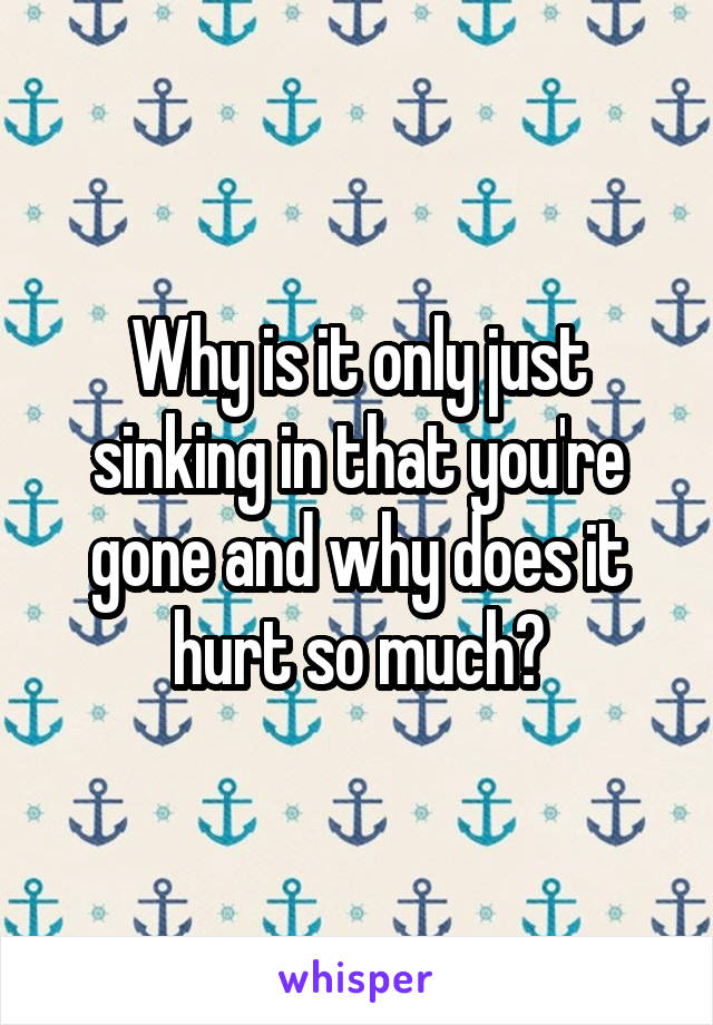 Why is it only just sinking in that you're gone and why does it hurt so much?