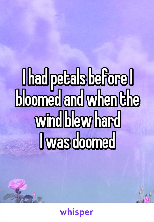 I had petals before I bloomed and when the wind blew hard
I was doomed