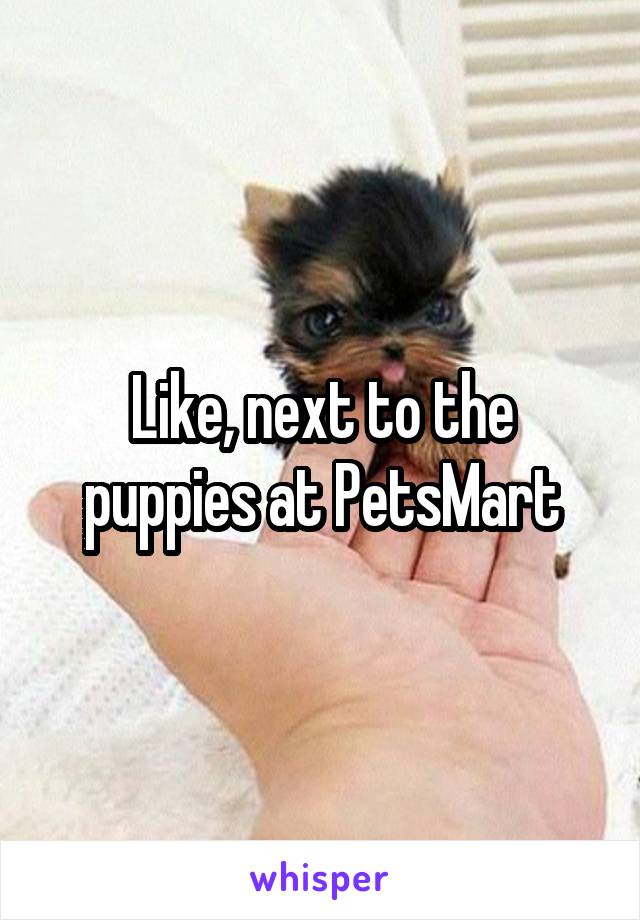 Like, next to the puppies at PetsMart