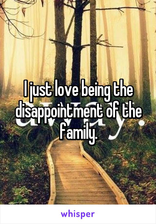 I just love being the disappointment of the family.