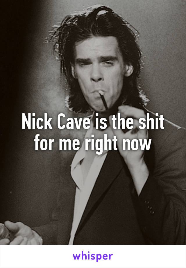 Nick Cave is the shit for me right now