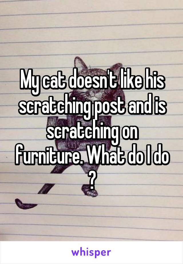 My cat doesn't like his scratching post and is scratching on furniture. What do I do ?