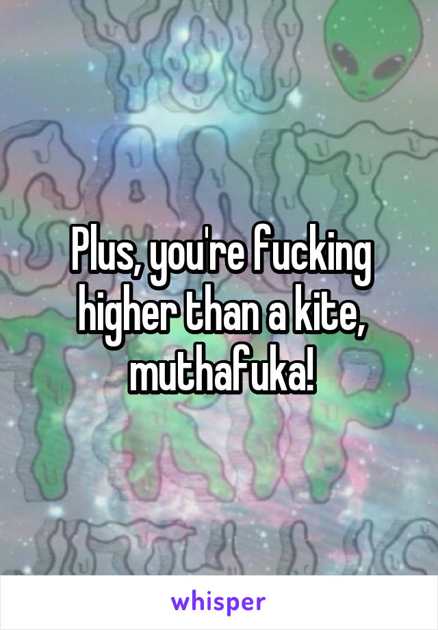 Plus, you're fucking higher than a kite, muthafuka!