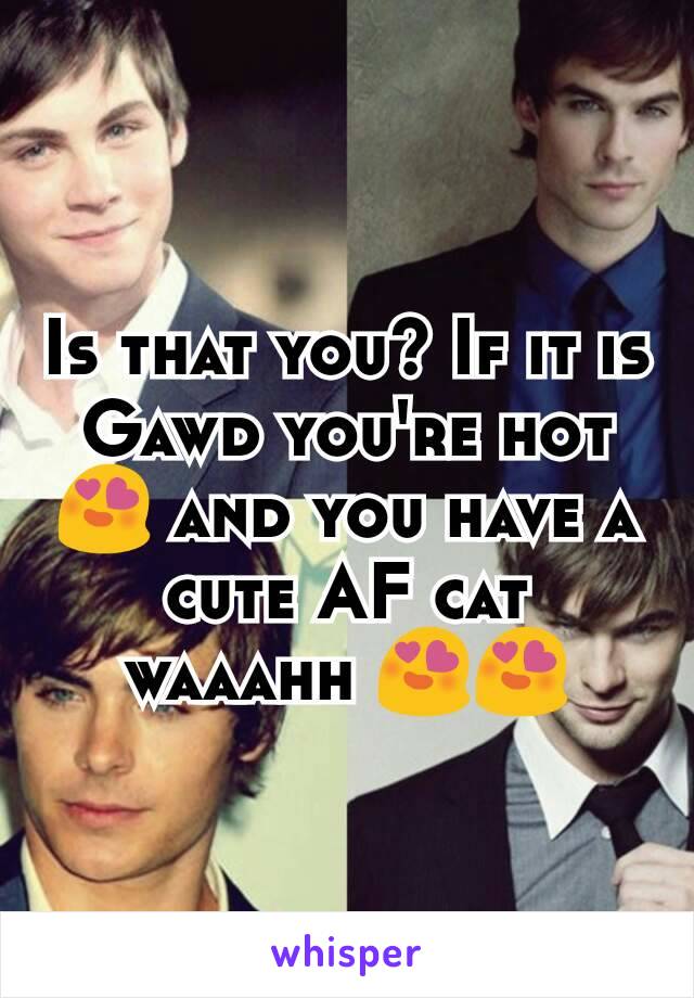 Is that you? If it is Gawd you're hot 😍 and you have a cute AF cat waaahh 😍😍