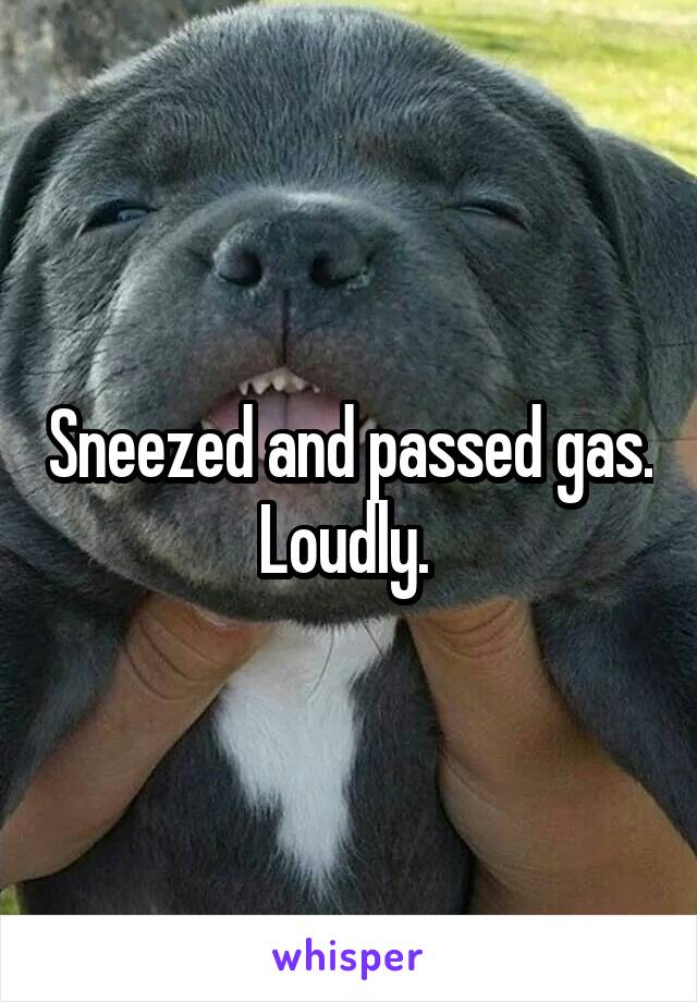 Sneezed and passed gas. Loudly. 