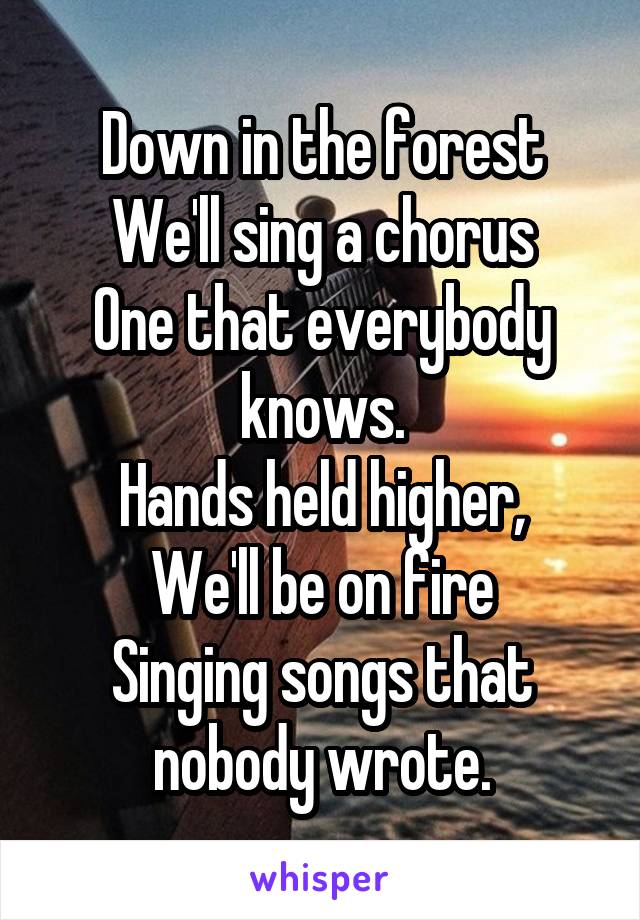 Down in the forest
We'll sing a chorus
One that everybody knows.
Hands held higher,
We'll be on fire
Singing songs that nobody wrote.