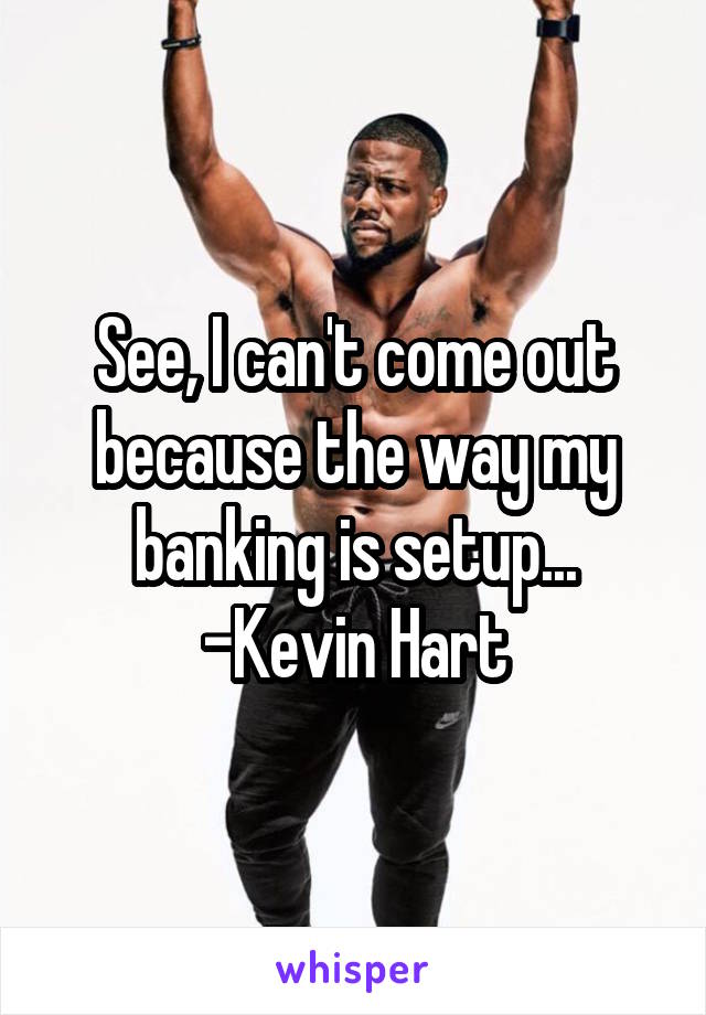 See, I can't come out because the way my banking is setup...
-Kevin Hart