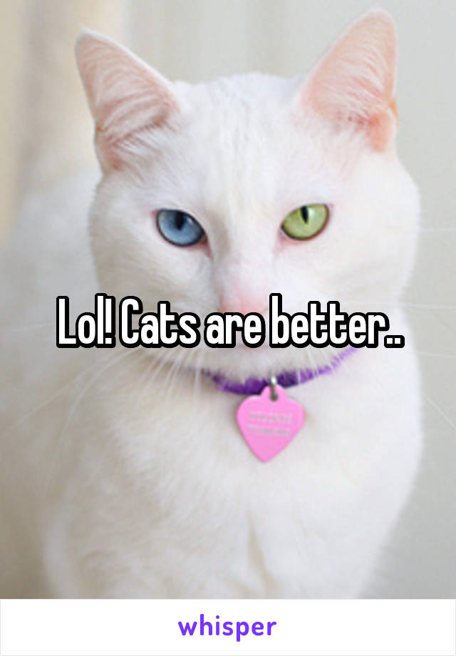 Lol! Cats are better..