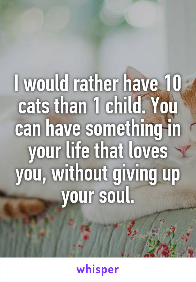 I would rather have 10 cats than 1 child. You can have something in your life that loves you, without giving up your soul.