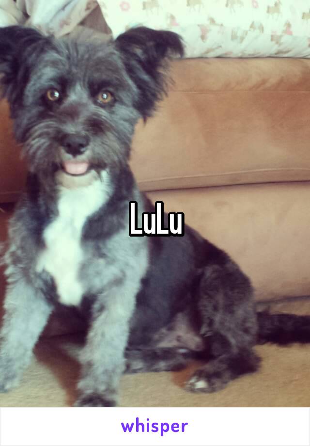 LuLu