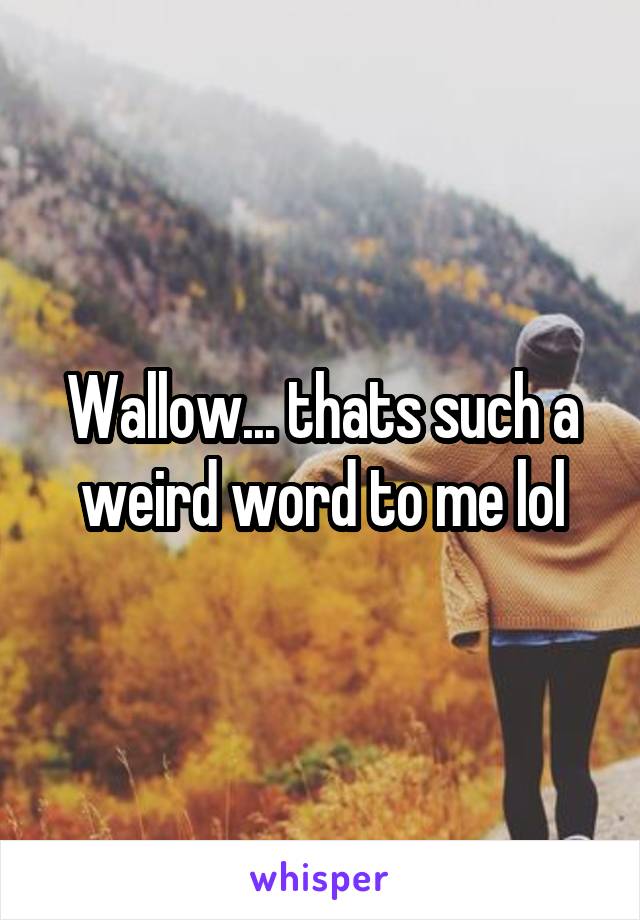 Wallow... thats such a weird word to me lol