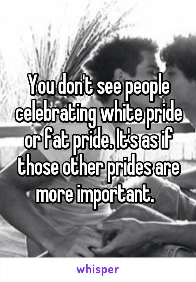 You don't see people celebrating white pride or fat pride. It's as if those other prides are more important.  