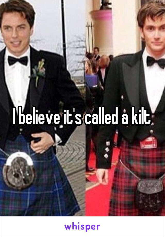 I believe it's called a kilt 