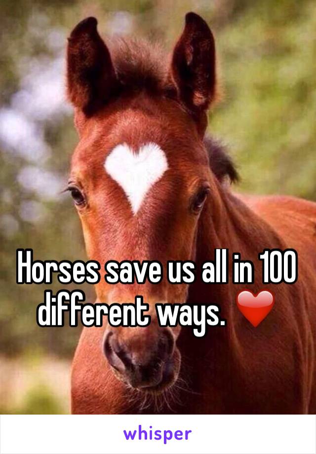 Horses save us all in 100 different ways. ❤️