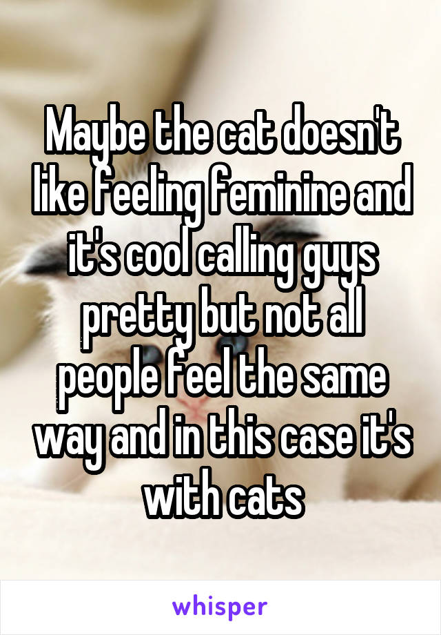 Maybe the cat doesn't like feeling feminine and it's cool calling guys pretty but not all people feel the same way and in this case it's with cats