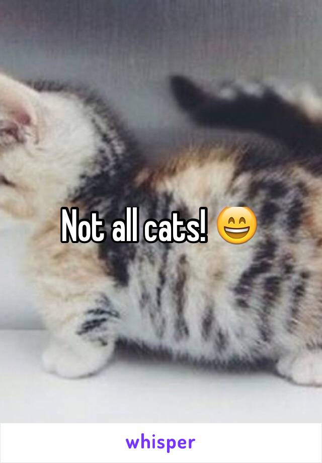 Not all cats! 😄