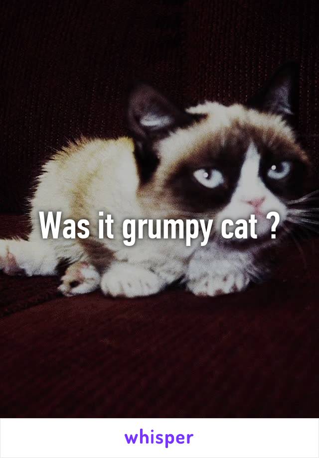 Was it grumpy cat ?