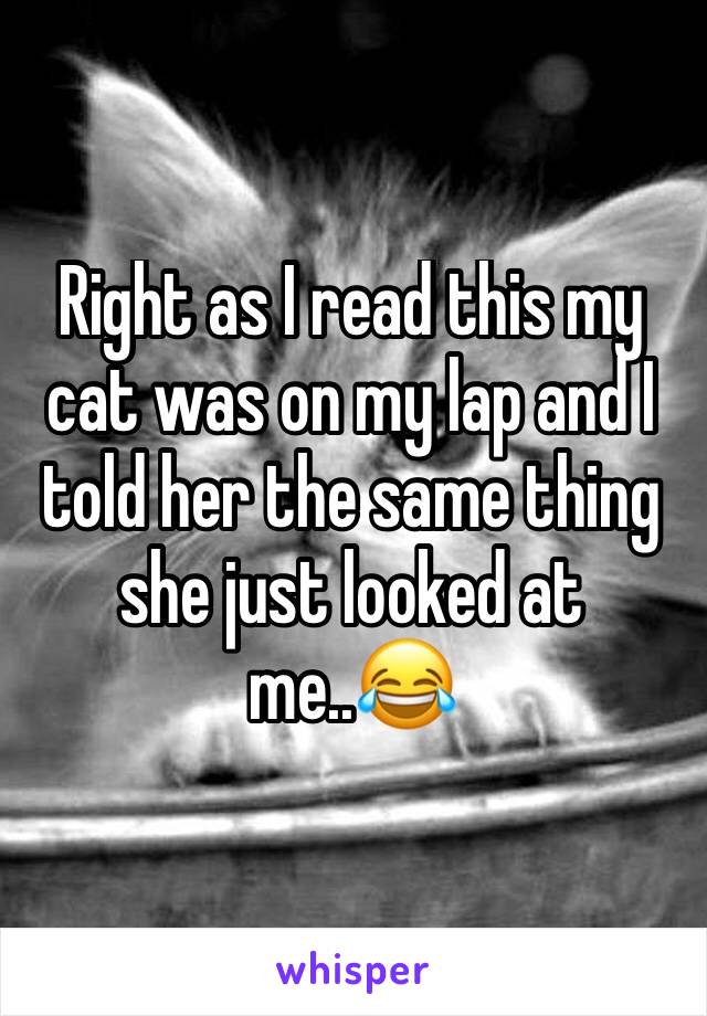 Right as I read this my cat was on my lap and I told her the same thing she just looked at me..😂