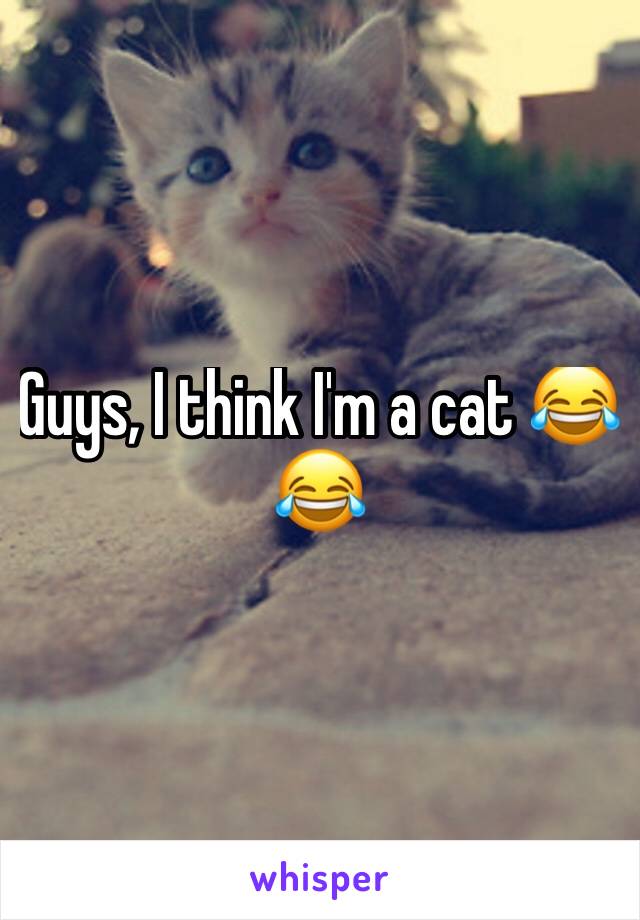 Guys, I think I'm a cat 😂😂