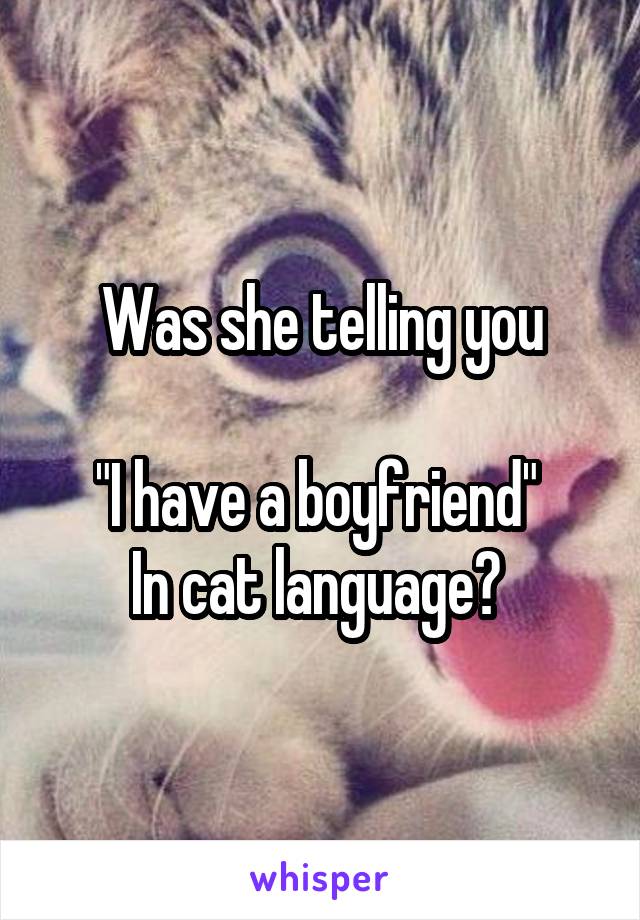 Was she telling you

"I have a boyfriend" 
In cat language? 