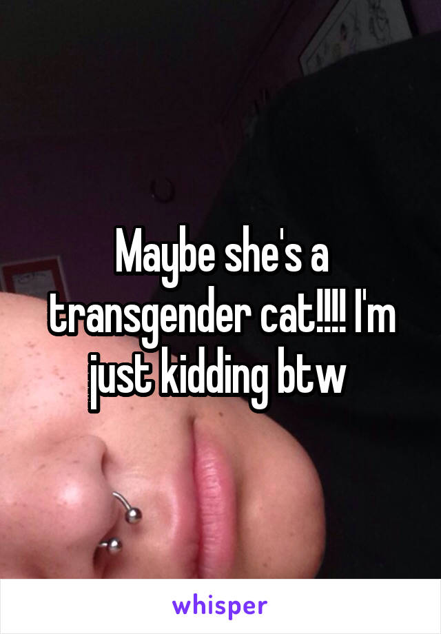 Maybe she's a transgender cat!!!! I'm just kidding btw 