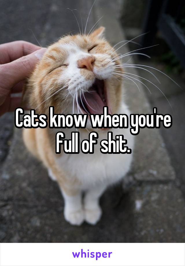 Cats know when you're full of shit.