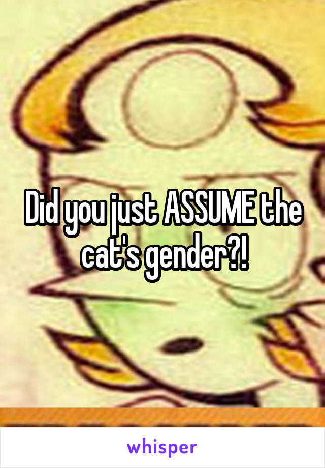 Did you just ASSUME the cat's gender?!