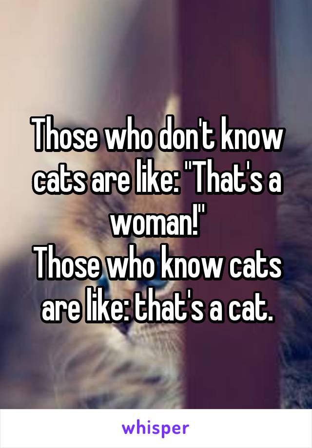 Those who don't know cats are like: "That's a woman!"
Those who know cats are like: that's a cat.